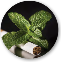 Tobacco Update 2024